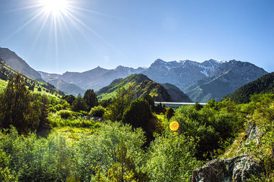 mountain