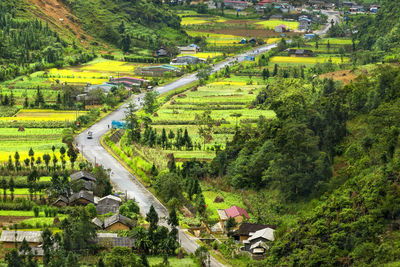 High angle view of agricultural field by trees and plants