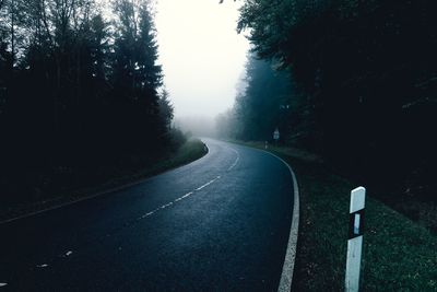 Empty road along trees