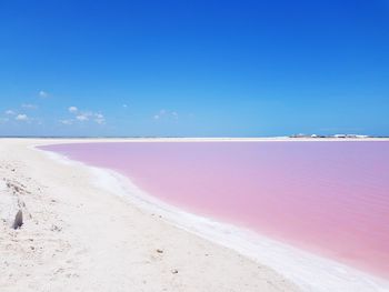 Scenic view of beach against clear blue sky