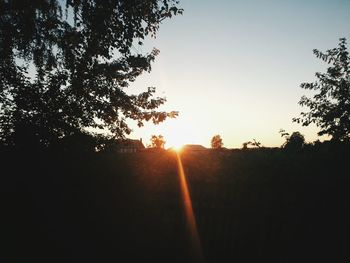 Silhouette trees against sky during sunset