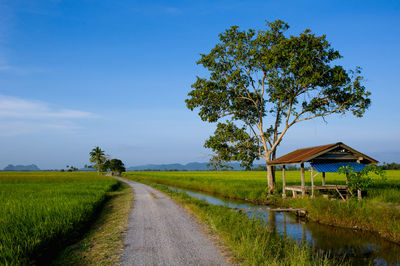 Road amidst field against sky