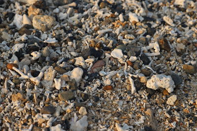 High angle view of stones on beach