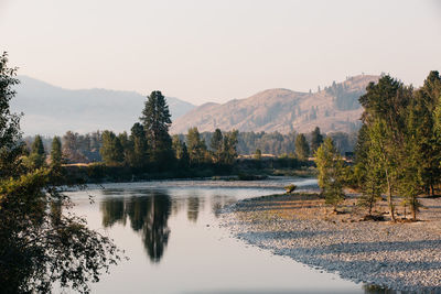 Scenic view of lake by trees against sky