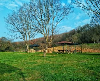 Bare trees on field against sky
