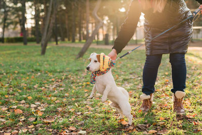 Rear view of man standing with dog on field