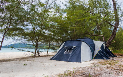 A tent at the beach on koh rong island