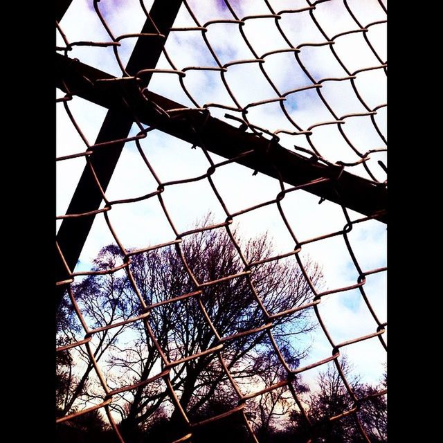 low angle view, tree, sky, silhouette, indoors, branch, bare tree, glass - material, window, transparent, built structure, no people, day, cloud - sky, architecture, cloud, nature, close-up, metal