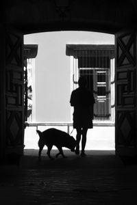 Rear view of silhouette people walking with dog