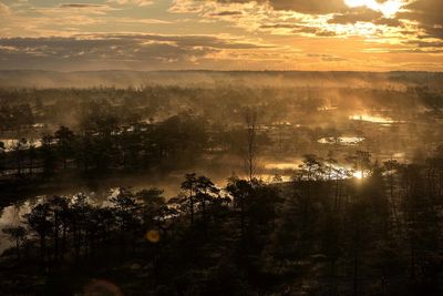Early mornig in kemeri national park,latvia