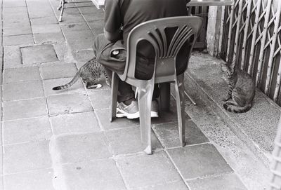 Low section of woman sitting on chair