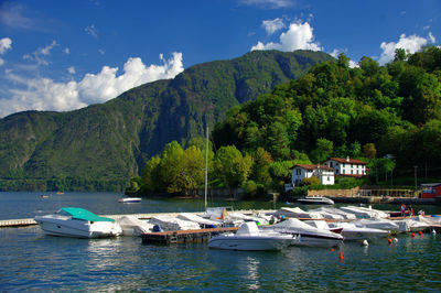 Boats moored in lake against lush foliage