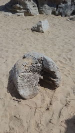 High angle view of rock on beach