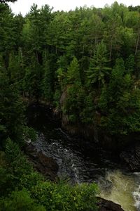 River flowing through rocks