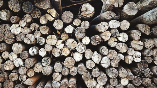Stack of logs