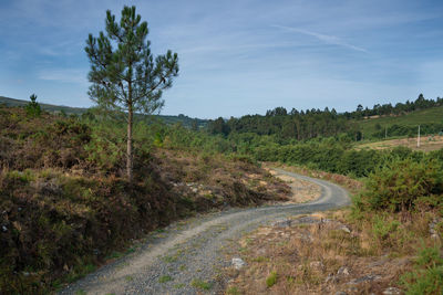 Road amidst trees against sky