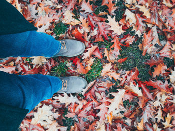 Low section of person standing on autumn leaves