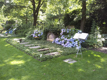 Flowers and trees in park