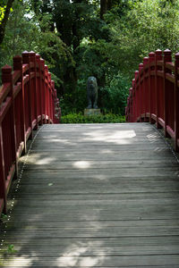 Boardwalk amidst trees in forest