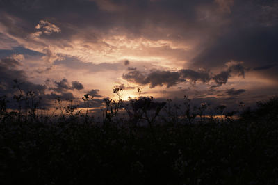 Scenic view of field against sky during sunset