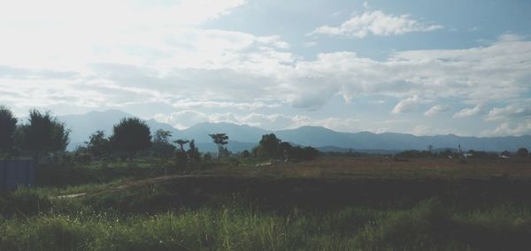 Scenic view of field against sky