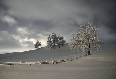 Snow covered trees against sky during winter