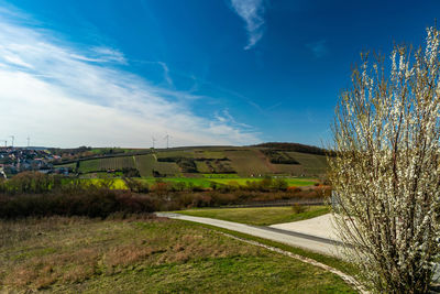 Road amidst field against blue sky