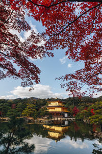 Reflection of trees and buildings on lake against sky