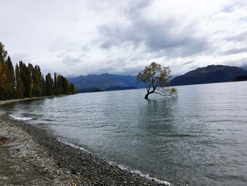 Scenic view of lake against sky