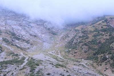environment