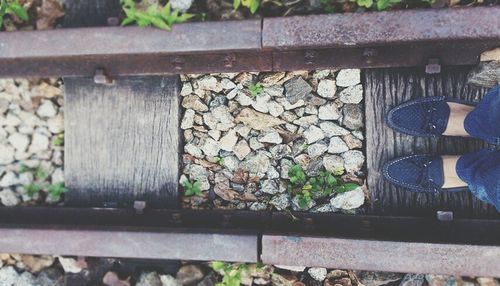 Low section of bare trees by railroad tracks