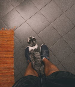 Low section of person with cat on tiled floor