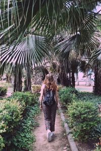 Rear view of woman walking on footpath amidst plants