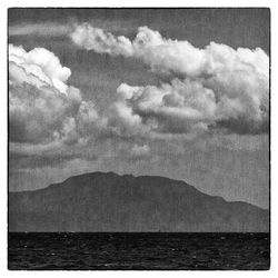 Reflection of trees in water
