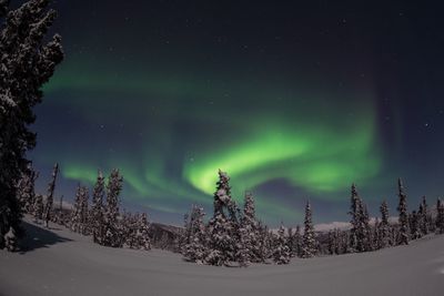 Scenic view of snow covered landscape at night