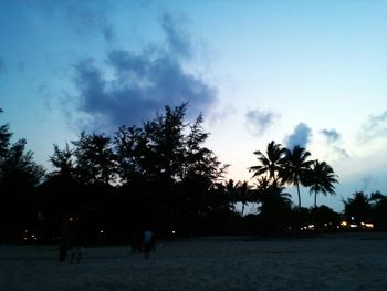 Silhouette trees on beach against sky during sunset