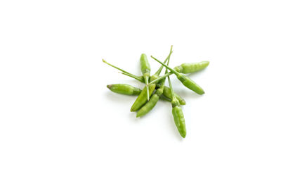 Close-up of vegetables against white background