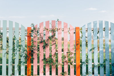 Plants growing by fence against sky