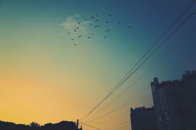 Low angle view of birds flying in sky
