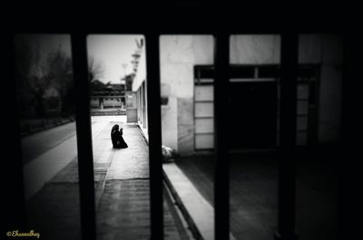 Silhouette man walking in building