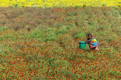 Flower collection