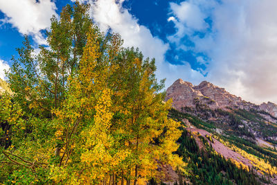 Scenic view of autumn trees against sky