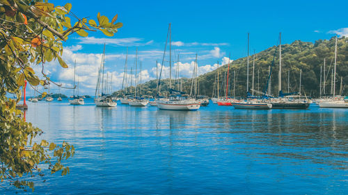 Sailboats moored in marina against blue sky