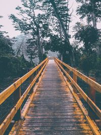 Diminishing perspective of footbridge in forest