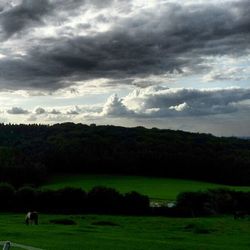 Scenic view of grassy field against cloudy sky