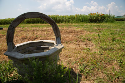 View of trees on field against sky