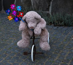 High angle view of teddy bear with pinwheel toy on tricycle in back yard