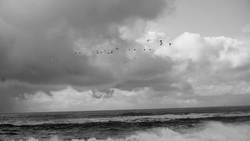 Birds flying over sea against sky