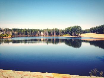 Reflection of trees in calm lake