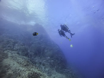 Two scuba divers looked from the bottom 